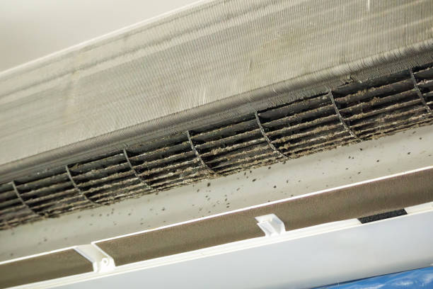 Best Best Air Duct Cleaning Company  in Fernandina Beach, FL